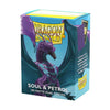 Deck Protector Dragon Shield Standard 100ct Dual Matte Soul & Petrol