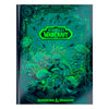 D&D World of Warcraft Hobby Store Exclusive