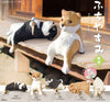 Shiba Inu Dogs Resting on the Edge Mini Figure Blind Box [1 Unit]