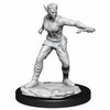D&D Nolzurs Marvelous Unpainted Miniatures Shifter Female Rogue