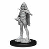 D&D Nolzurs Marvelous Unpainted Miniatures Darkling Elder & Darklings