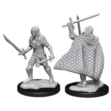 D&D Nolzurs Marvelous Unpainted Minis Elf Fighter Male