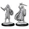 D&D Nolzurs Marvelous Unpainted Minis Human Champion Female