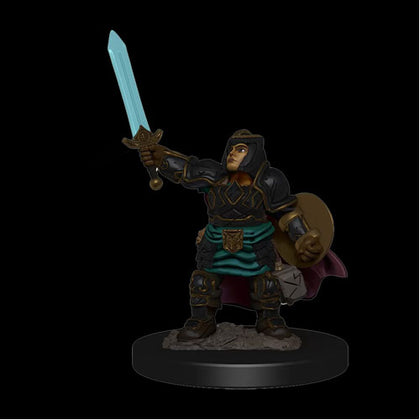 D&D Nolzurs Marvelous Premium Painted Minis Female Dwarf Paladin