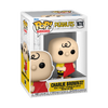 Peanuts Charlie Brown with Kite Pop! Vinyl