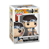 Karate Kid Daniel (Painting) Funko Pop! Vinyl