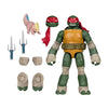 Teenage Mutant Ninja Turtles TMNT Raphael 5 Inch Scale Action Figure