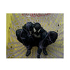 Marvel Comics Spider-Man #1 Black Suit Spider-Man CHASE 1:6 Scale PVC Statue