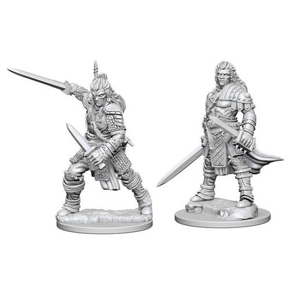 Pathfinder Deep Cuts Unpainted Miniatures Human Male Fighter