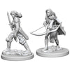 Pathfinder Deep Cuts Unpainted Miniatures Human Female Fighter