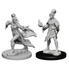 Pathfinder Deep Cuts Unpainted Miniatures Elf Female Sorcerer