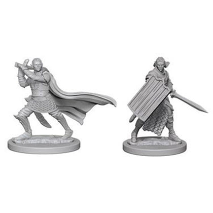 Pathfinder Deep Cuts Unpainted Miniatures Elf Male Paladin