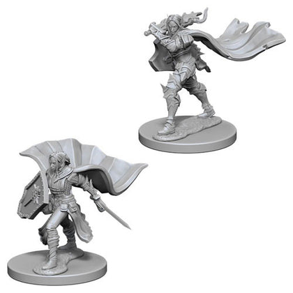 Pathfinder Deep Cuts Unpainted Miniatures Elf Female Paladin