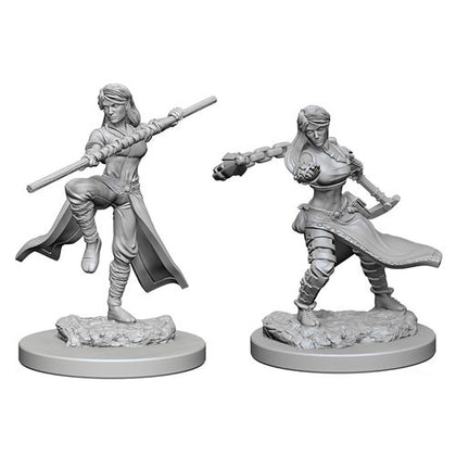 D&D Nolzurs Marvelous Unpainted Minis Human Female Monk