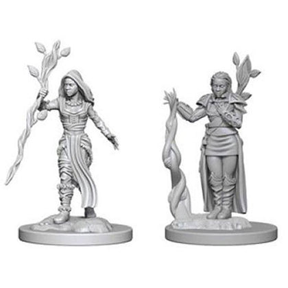 D&D Nolzurs Marvelous Unpainted Minis Human Female Druid