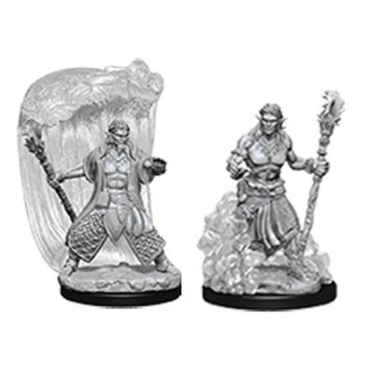 D&D Nolzurs Marvelous Unpainted Minis Water Genasi Male Druid