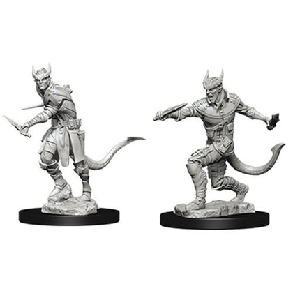 D&D Nolzurs Marvelous Unpainted Minis Tiefling Male Rogue