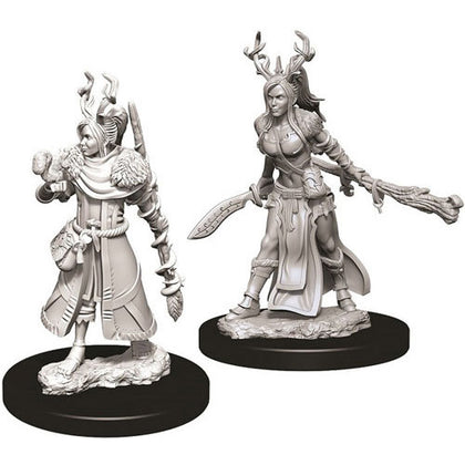 D&D Nolzurs Marvelous Unpainted Minis Unpainted Female Human Druid