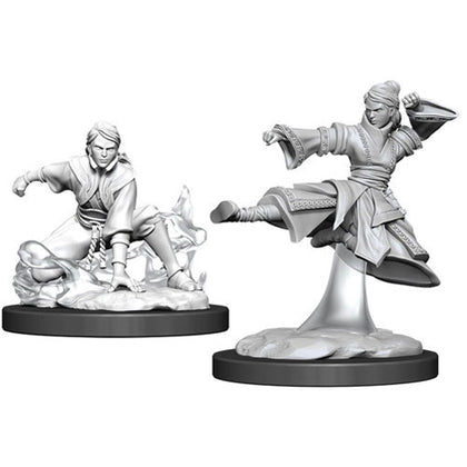 D&D Nolzurs Marvelous Unpainted Miniatures Female Human Monk