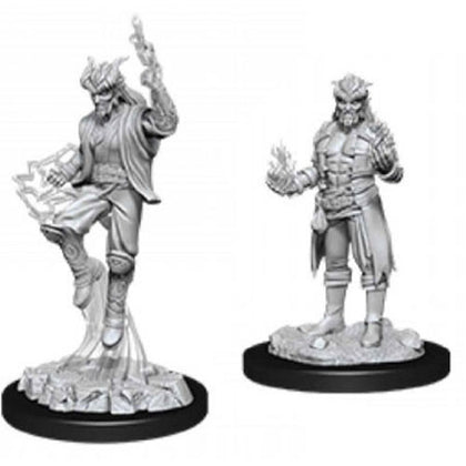 D&D Nolzurs Marvelous Unpainted Male Tiefling Sorcerer