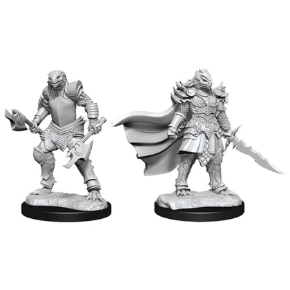 D&D Nolzurs Marvelous Unpainted Minis Dragonborn Fighter Female