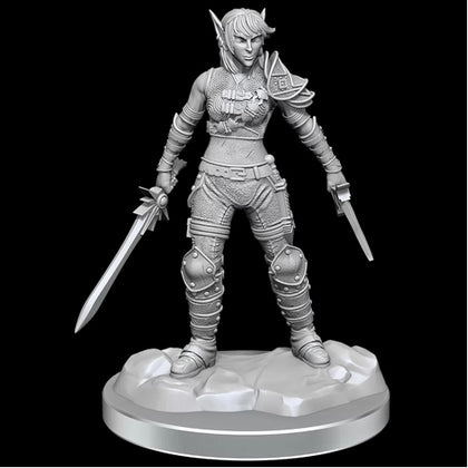 D&D Nolzurs Marvelous Unpainted Minis Elf Rogue & Half-Elf Rogue Protege