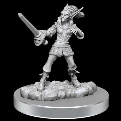 D&D Nolzurs Marvelous Unpainted Minis Quicklings