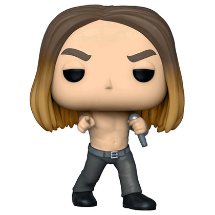 Iggy Pop Pop! Vinyl