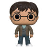 Harry Potter Harry with Two Wands Pop! Vinyl
